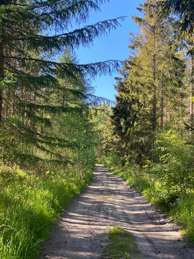 Siedlisko Wytowno Villa Ustka Exteriör bild