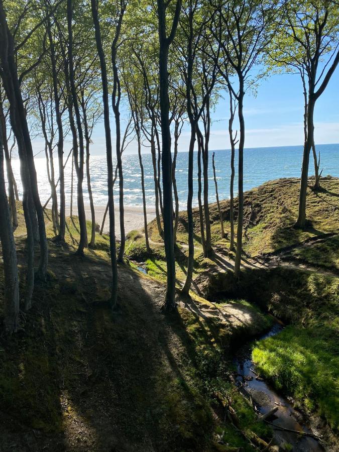 Siedlisko Wytowno Villa Ustka Exteriör bild