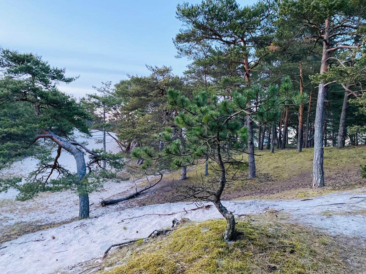 Siedlisko Wytowno Villa Ustka Exteriör bild