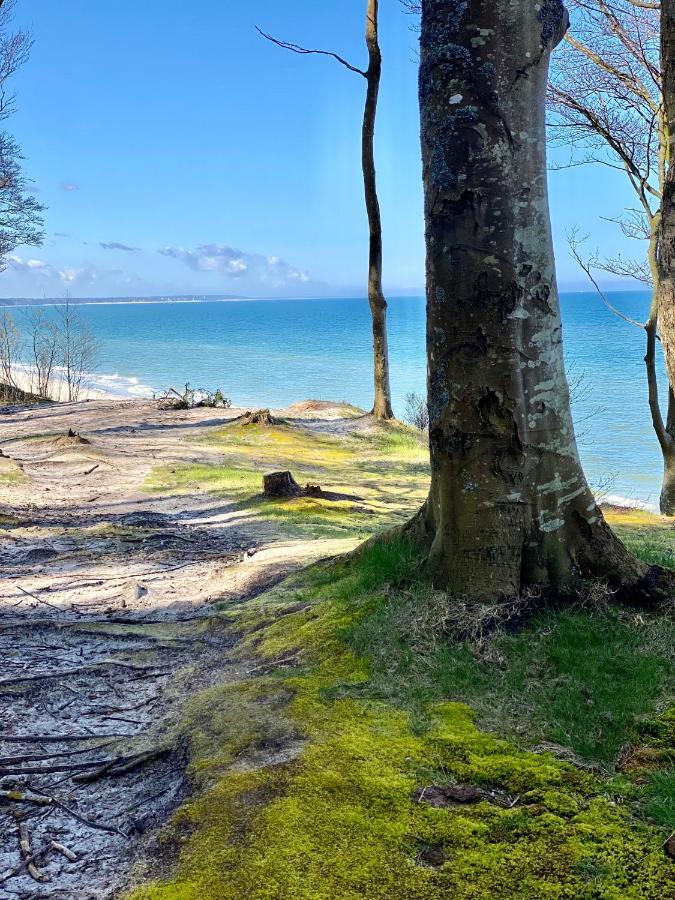Siedlisko Wytowno Villa Ustka Exteriör bild